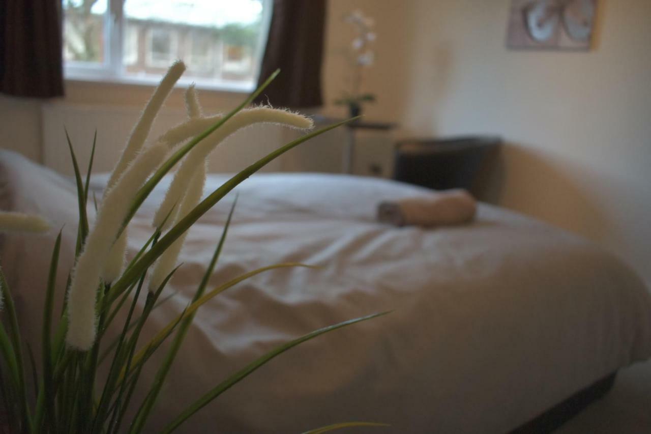 Chambre Double Standard
