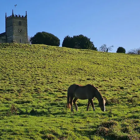 The Dog Inn-2